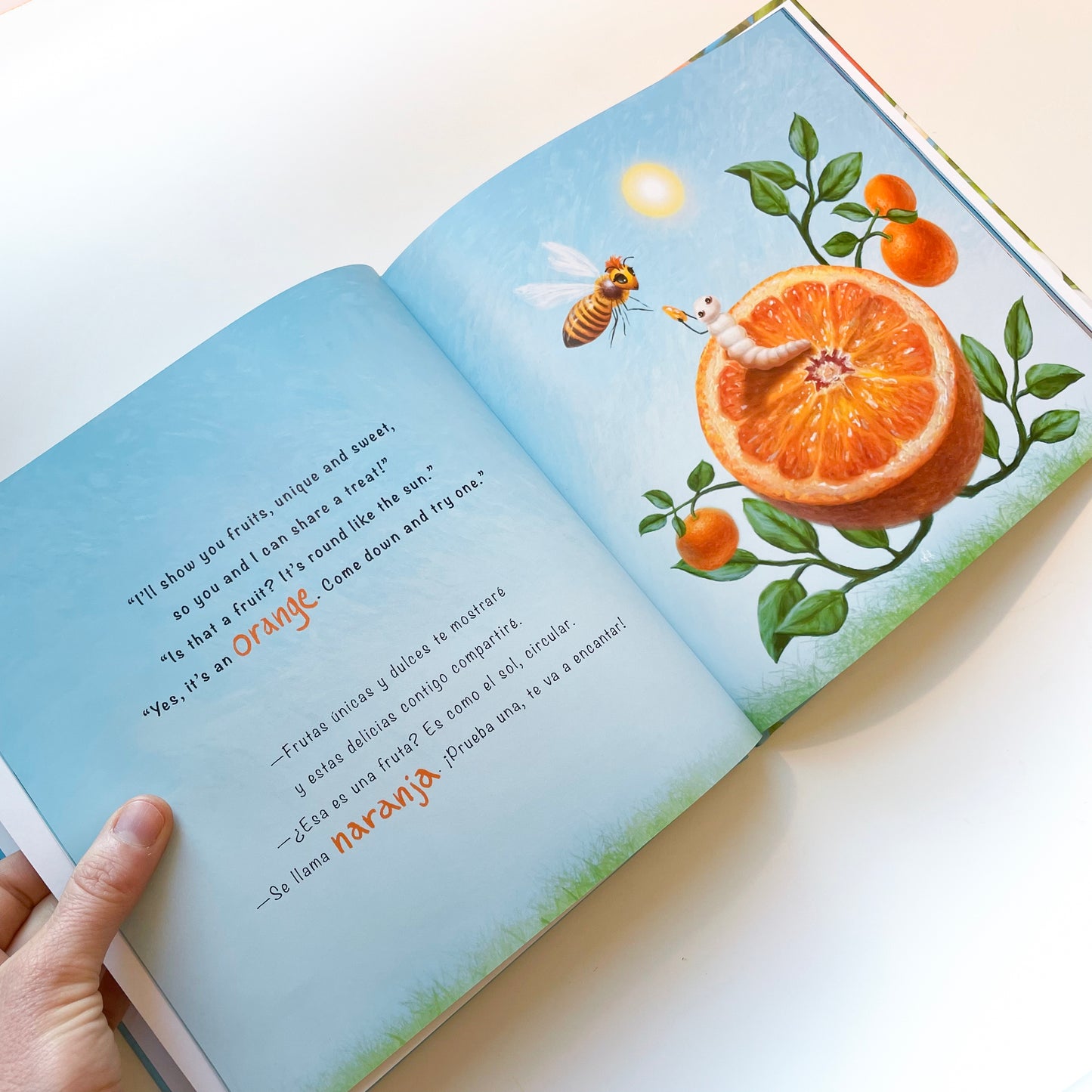 The Fruit Worm / Hardcover + Activity Pages