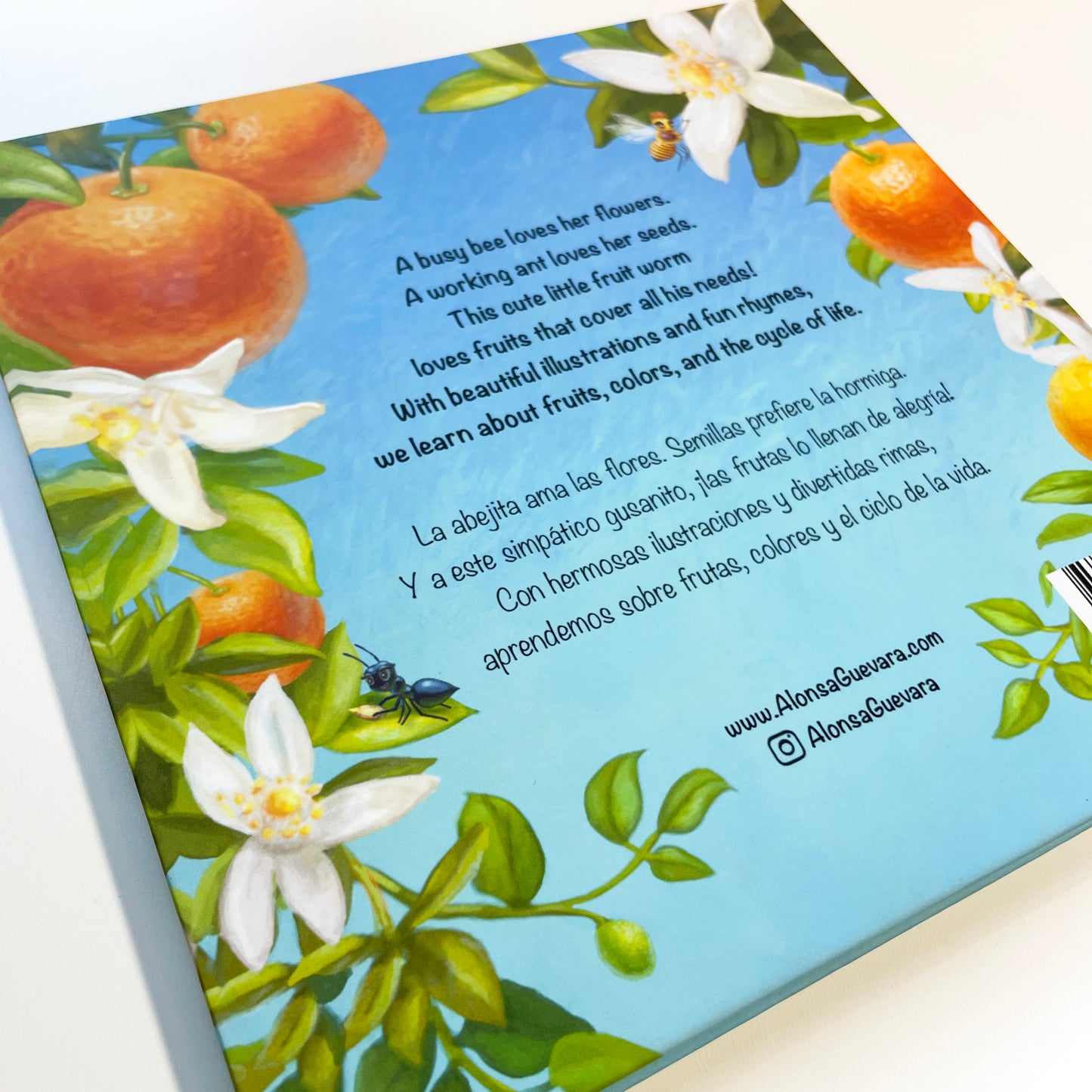 The Fruit Worm / Hardcover + Activity Pages